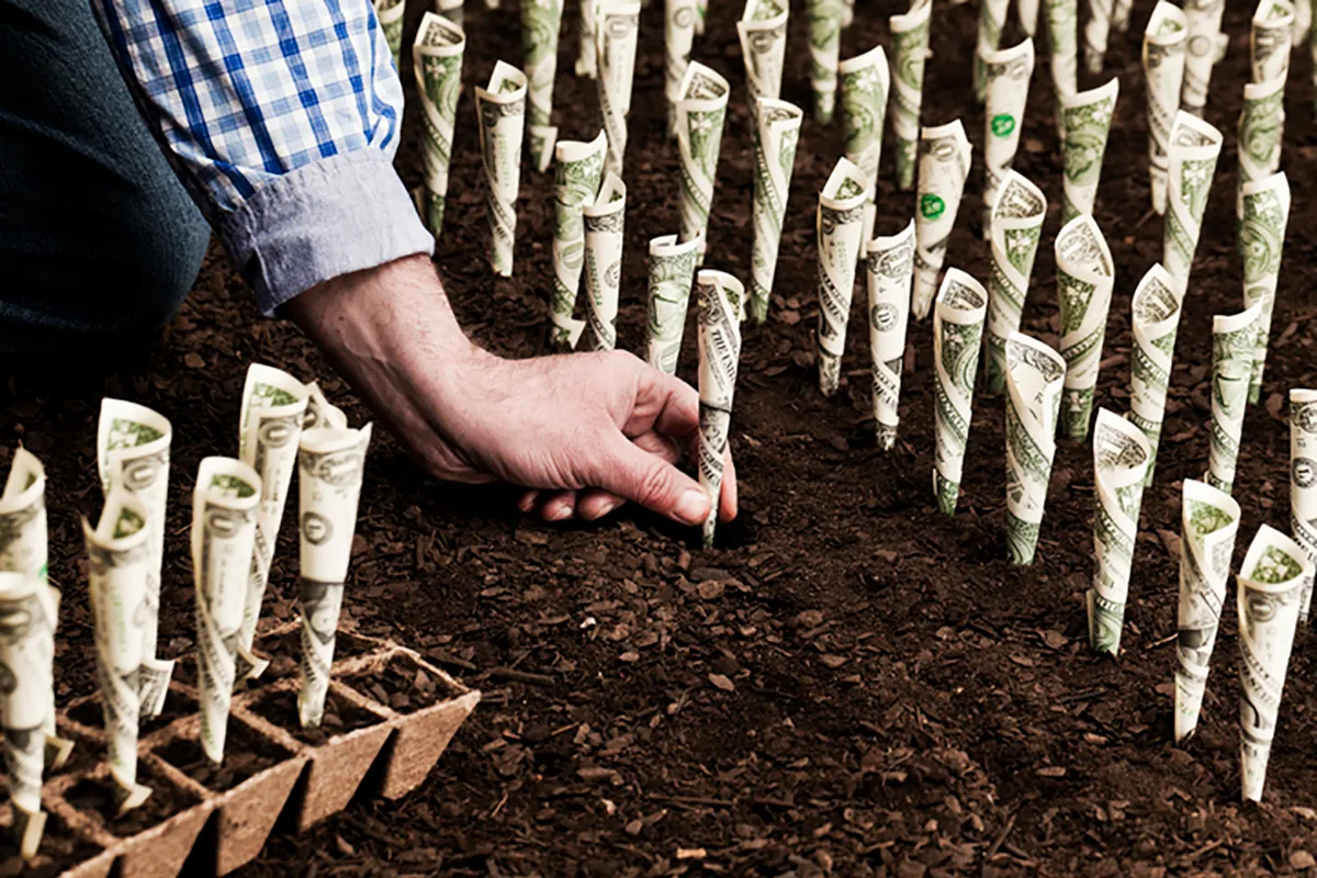 A person plants rolled up dollar bills in organized rows as if they were crops, representing ESG investing.